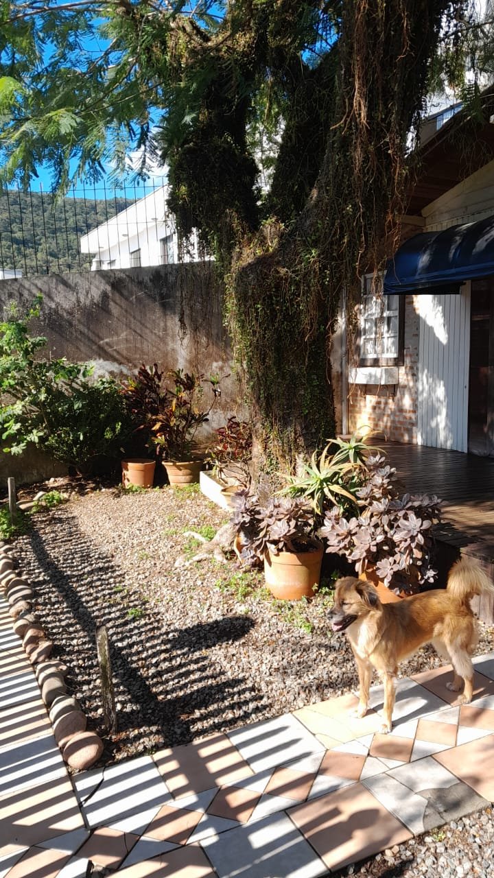 Mais fotos de Terreno de 350m² no Centro de Itajaí com Casa Estilo Chalé Oportunidade Única para Investidores